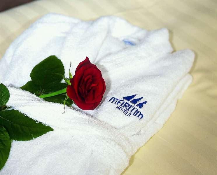 Maritim Hotel Frankfurt Frankfurt am Main Ngoại thất bức ảnh